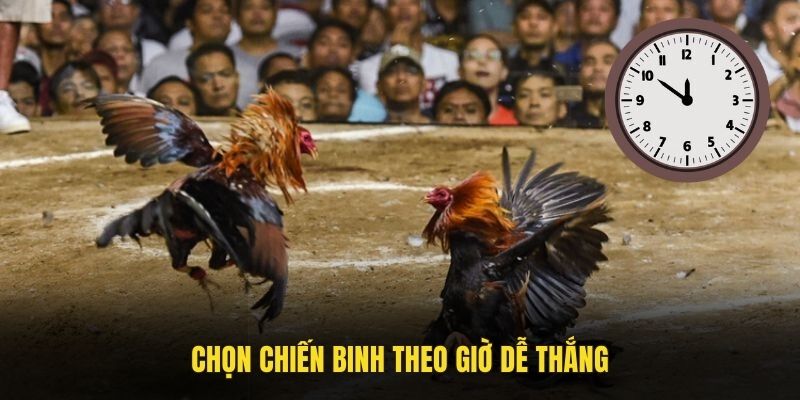 Chọn chiến binh theo giờ dễ thắng