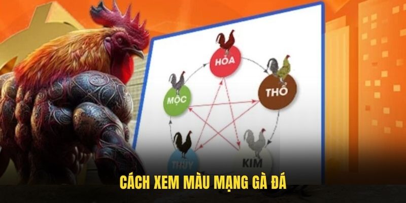 Cách xem màu mạng gà đá