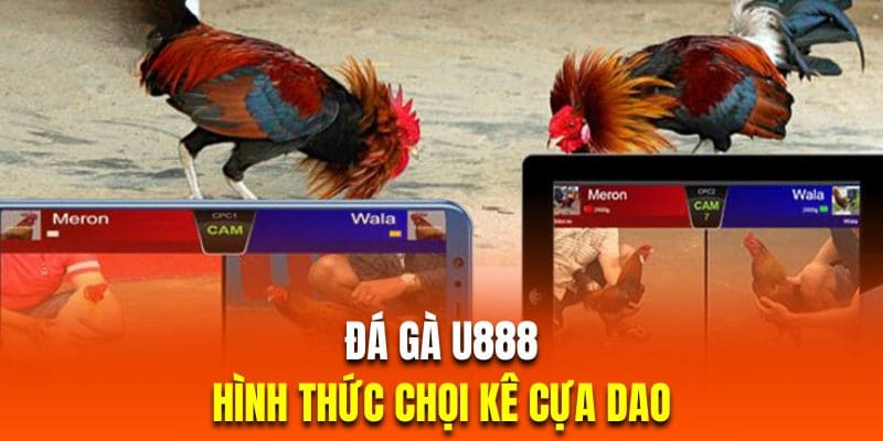 Truy cập ngay mục đá gà cựa dao tại u888 ngay để trải nghiệm