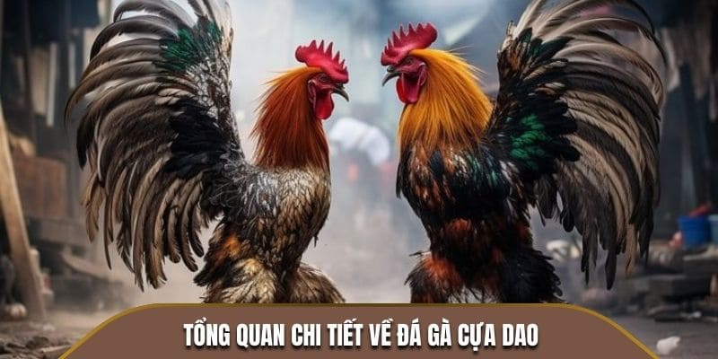 Tất tần tật về siêu phẩm mang tên Đá gà cựa dao