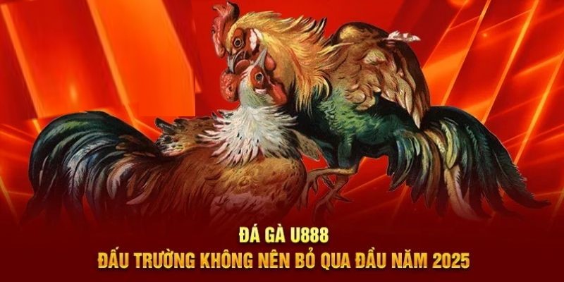 Khái quát đôi nét về sảnh đá gà tại U888