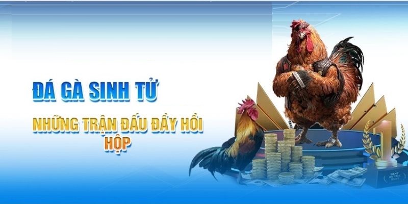 Các hình thức đá gà siêu hấp dẫn, kịch tính tại nhà cái