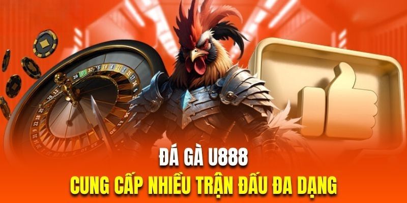 Những nét đặc trưng nổi bật của chuyên mục chọi kê