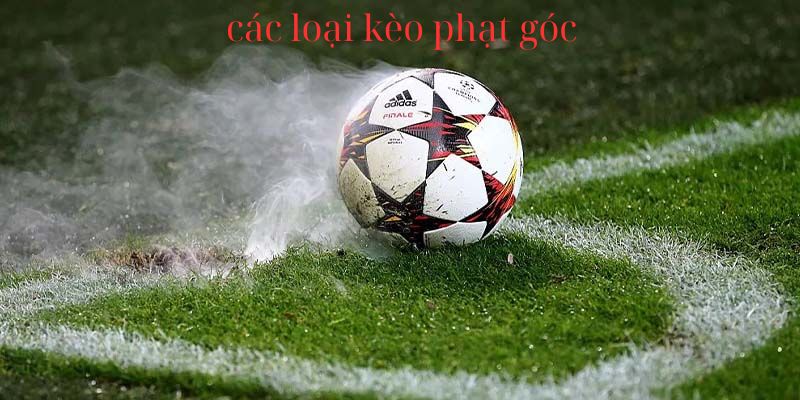 Kèo phạt góc được chia thành nhiều biến thể